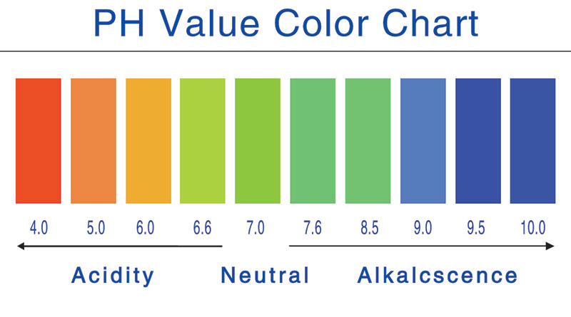 pH मान pH value | Vivace Panorama