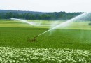 भारत में सिंचाई के साधन Sources of irrigation in India