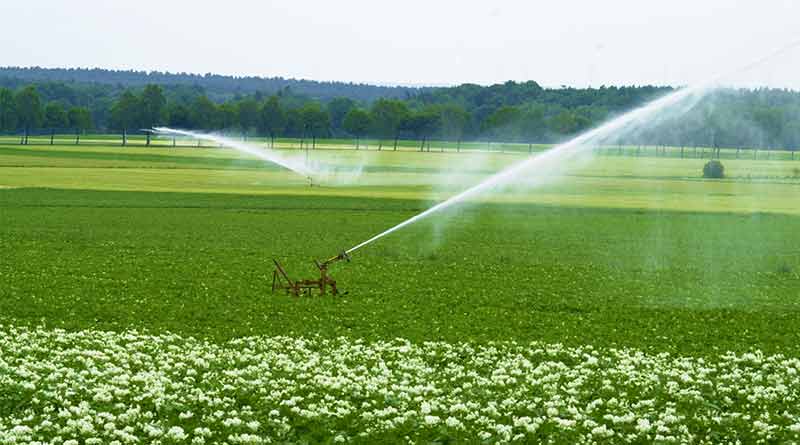 Sources of irrigation in India