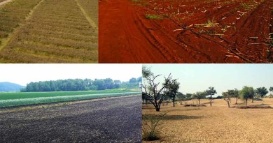 Soils-of-India