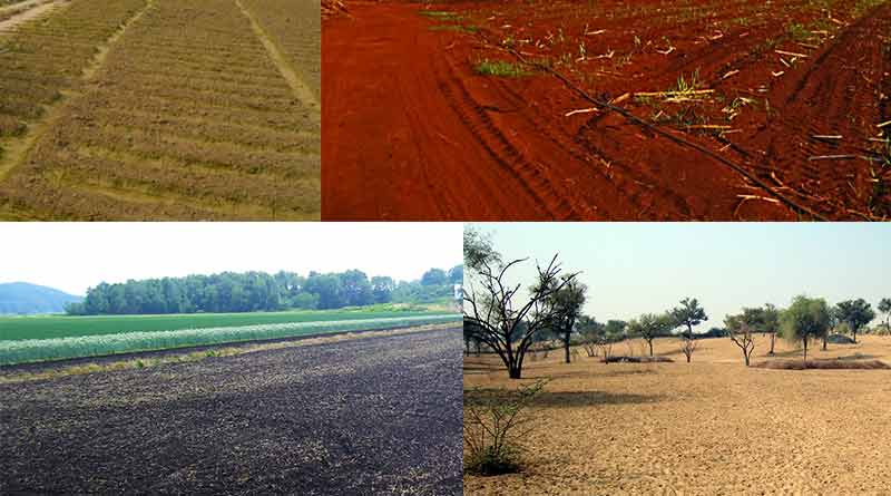 Soils-of-India