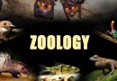 जंतु विज्ञान Zoology