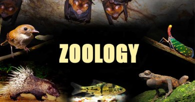 Zoology