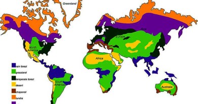 Chief Climatic Regions Of The World