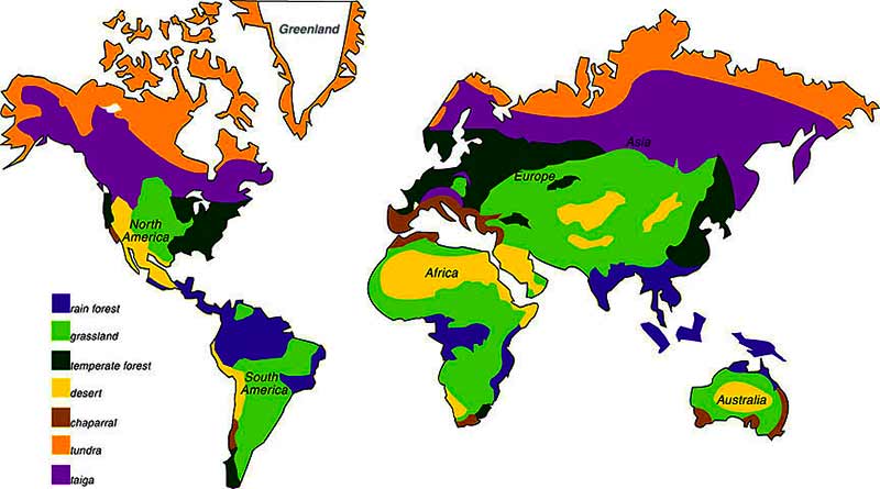 Chief Climatic Regions Of The World