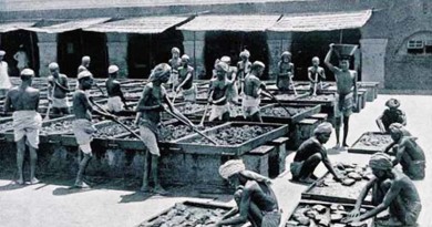 Effect On The Indian Economy Of British Rule