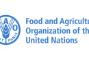 खाद्य एवं कृषि संगठन Food and Agriculture Organisation – FAO