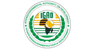 Intergovernmental Authority on Development - IGAD