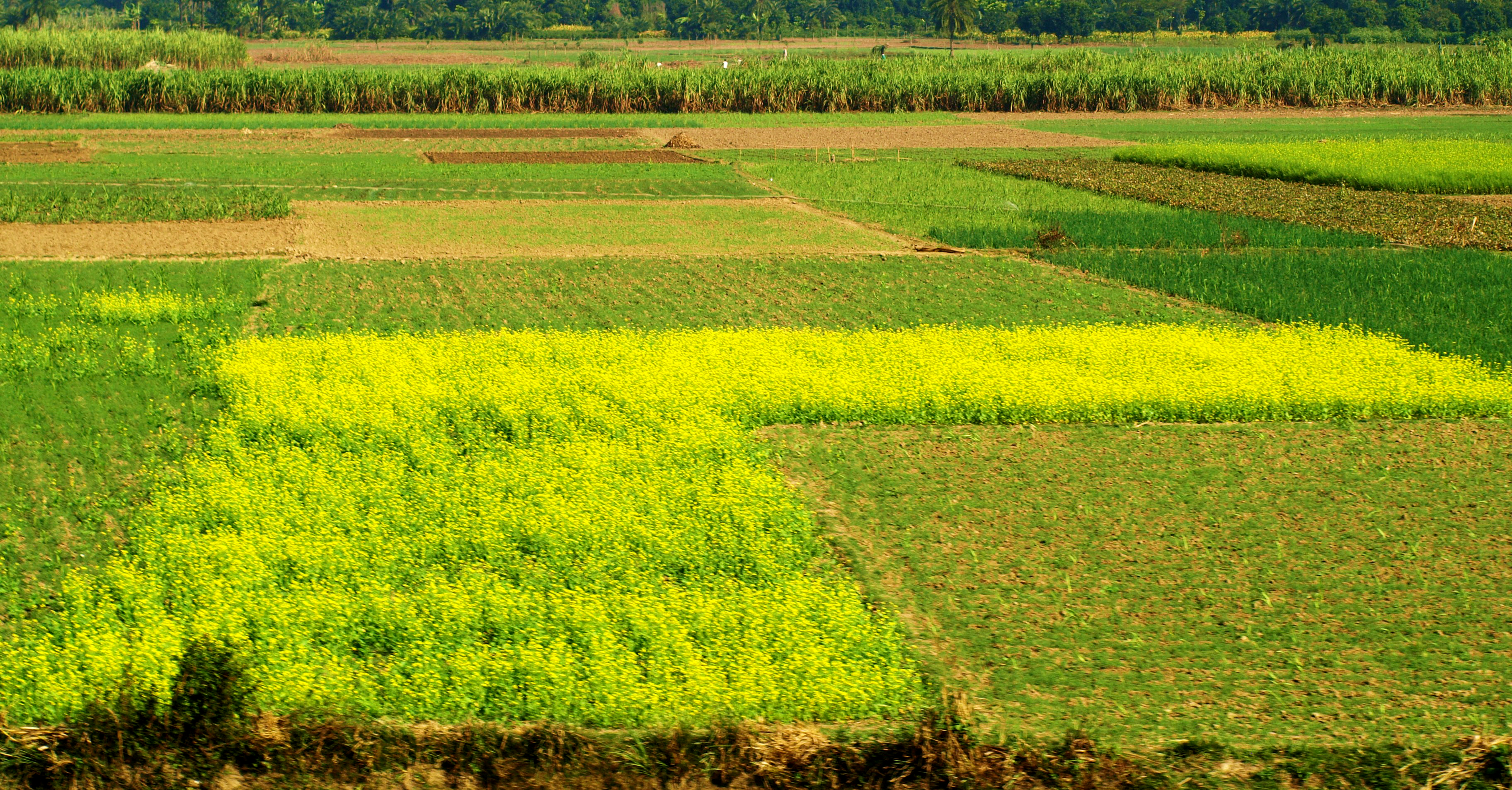 कृषि के प्रकार Types of Agriculture