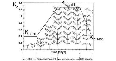 Crop Factors