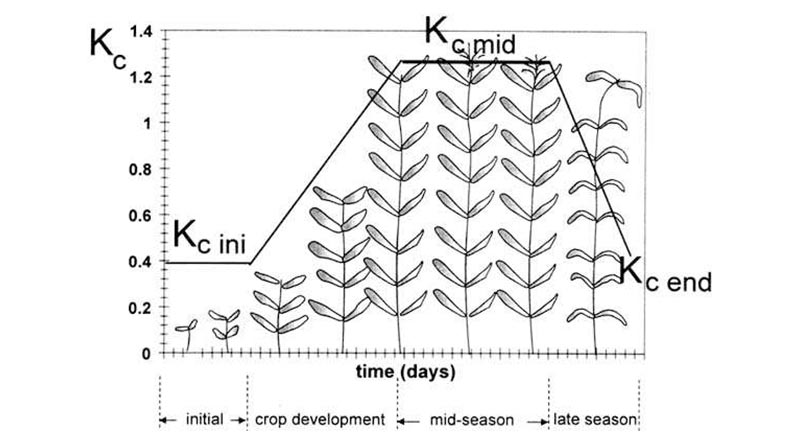 Crop Factors