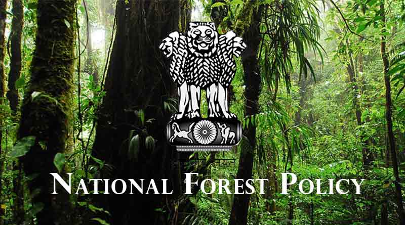 National Forest Policy