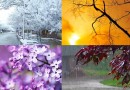 भारत में ऋतुएं Seasons in India