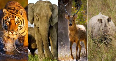 भारत में वन्य जीवन एवं इसका संरक्षण Wildlife and its Conservation in India