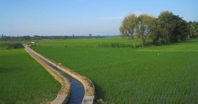 Irrigation In India