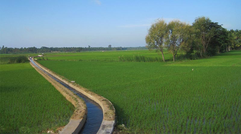 Irrigation In India