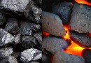 खनिज ईंधन: कोयला एवं लिग्नाइट  Mineral Fuels: Coal and Lignite