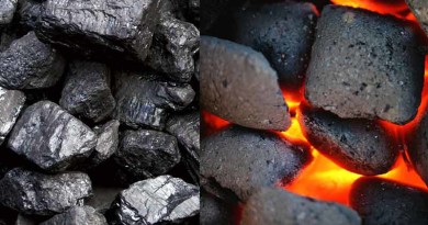 Mineral Fuels: Coal and Lignite