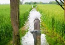 भारत में सिंचाई क्षमता से जुड़ी समस्याएं Problems With Irrigation Potential in India