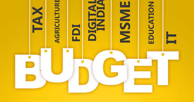 बजट 2016-17 में की गई महत्वपूर्ण घोषणाएं The Important Announcements In The Budget 2016-17