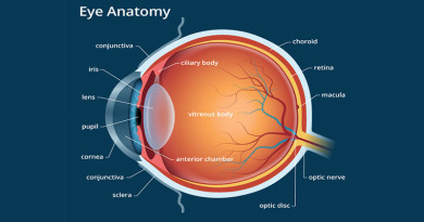 Human Body - Eye