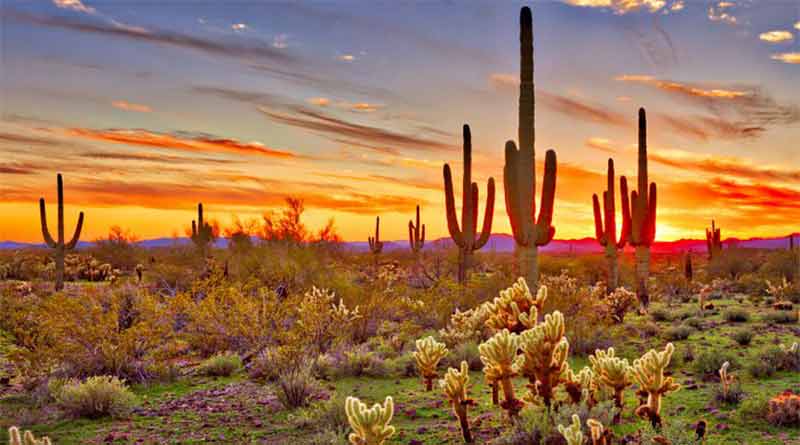 Major Deserts of the World