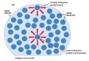 पृष्ठ तनाव Surface Tension